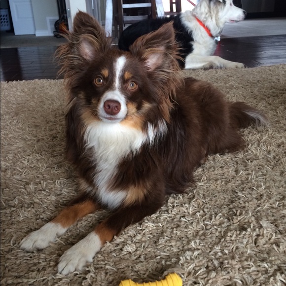 Meet your Posher, Brittney - Picture 1 of 1